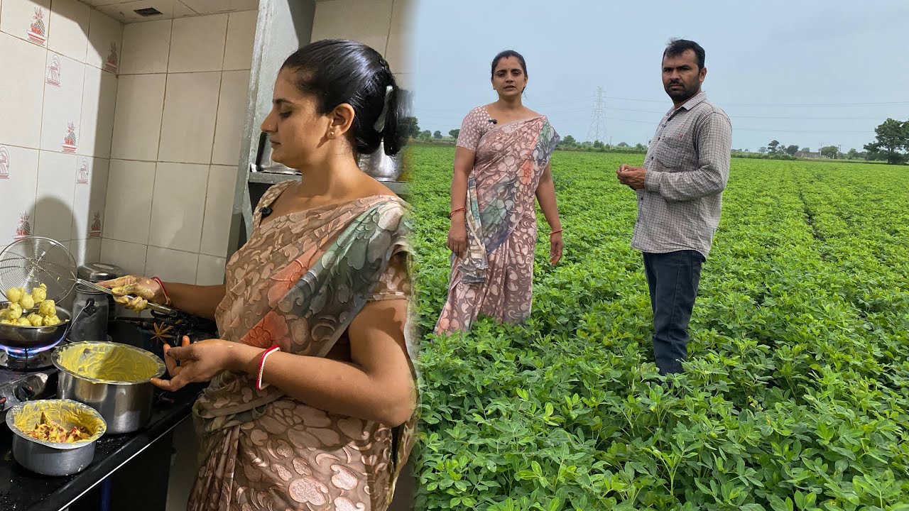 મગફળી આ દવા થી ગેરૂ ટીકા રોગ નો સફાયો