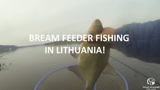 BREAM FEEDER FISHING IN LITHUANIA! WHAT A BITES! (ENG VERSION)