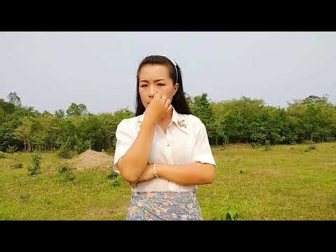 Video: Cov Cua Sov Ntawm Txoj Phuam 