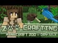 Kiwi, Parrots, and Owls in the Aussie Aviary!! 🐘 Zoo Crafting: Season 2 - Episode #163