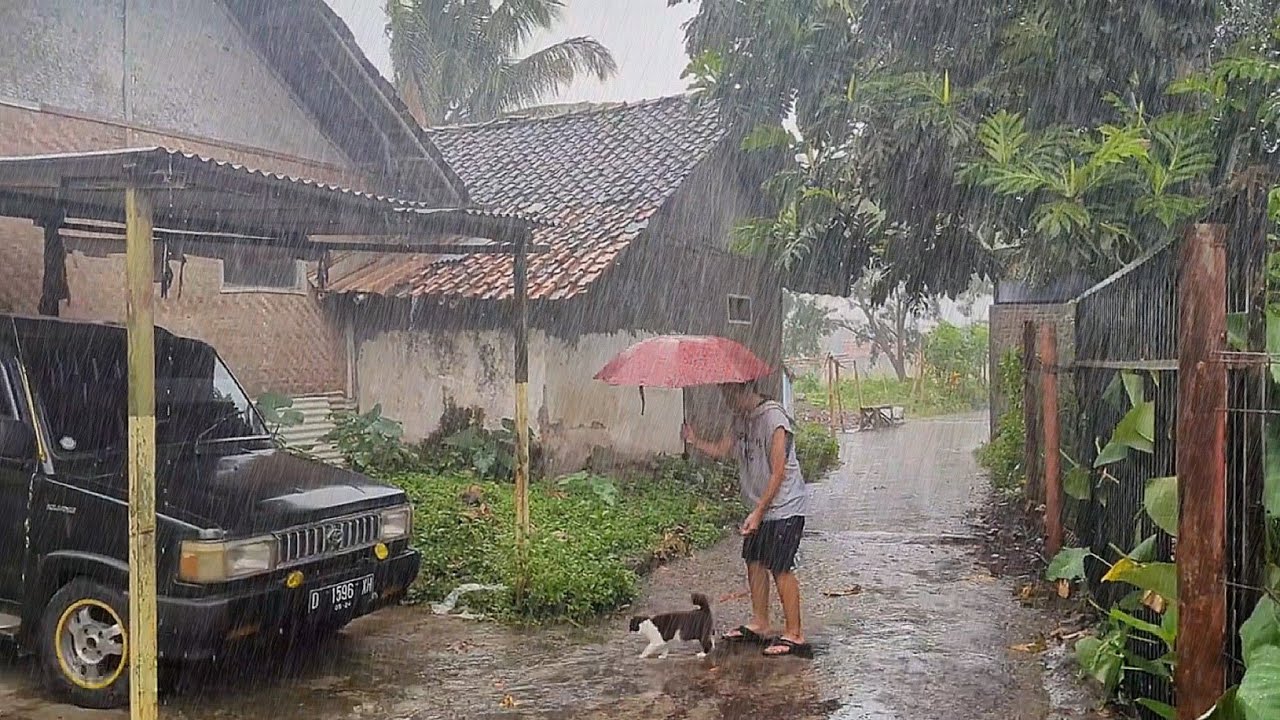 Super Heavy Rain And Strong Winds In My Quiet Village, Sleep Instantly ...