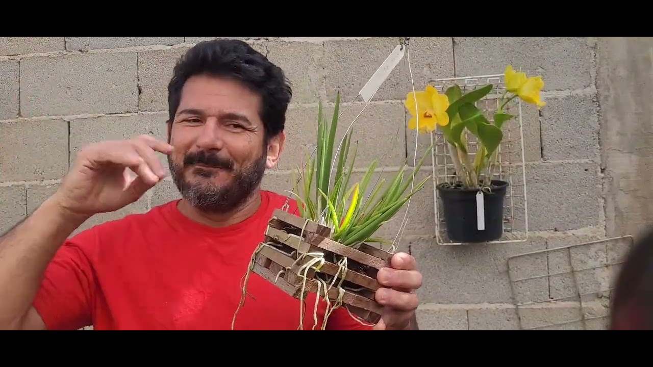 Vasos plásticos, de barro e caxepos para Orquídeas. 