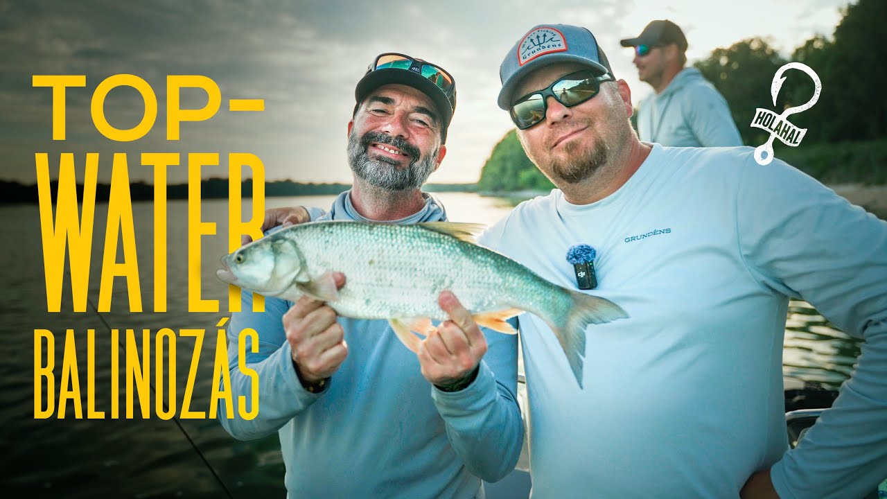 Holahal? 64 - Topwater balinok a Dunán