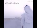 وشلون ينساني اداء محمد فهد