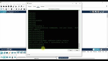 Assigning a STATIC MAC Address to Switch
