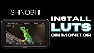 How to Install Luts on Atomos Shinobi II
