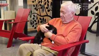 Adoption Counseling