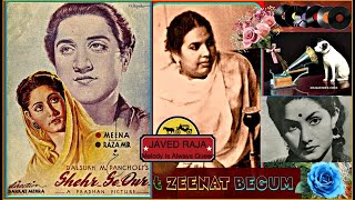 Zeenat begum-film-shaher se door-(1946)-chal man ke panchhi des
begane-[ rare gem ]