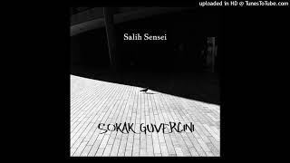 Salih Sensei - Sokak Güvercini (Official Audio)