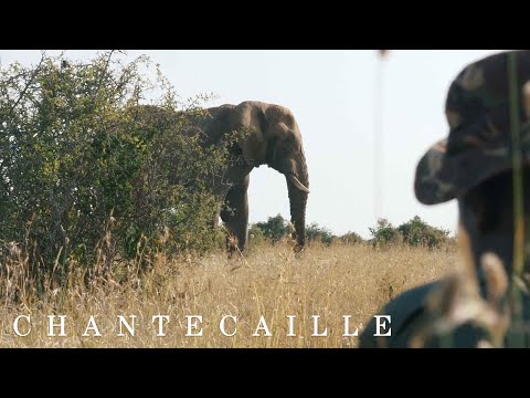 World Ranger Day with Sylvie Chantecaille and Stephanie von Watzdorf