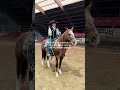 #cavalli #horse #horsetrack #equestrian #equestrianjourney #neiperte