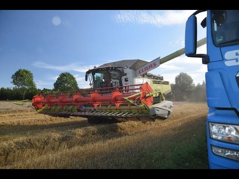 Getreideernte 2016: Claas