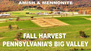 AMISH-MENNONITE Fall Harvest in Pennsylvania's BIG VALLEY With Gorgeous Autumn Forest Backdrop