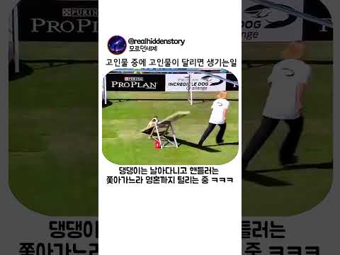 고인물 중에 고인물이 달리면 생기는일 thumbnail