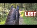 Lost in the woods with Queen👑Uniek and Reintje the Friesian Horses during a trail ride.