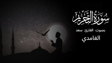 سورة التحريم بصوت القارئ سعد الغامدي