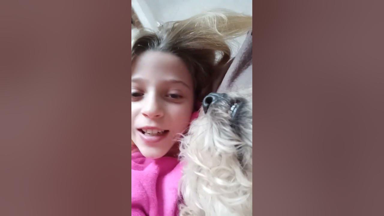 si-no-estas-youtube