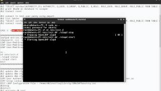 DB2 Tips n Tricks Part 15 - How to Configure LDAP Plugin for Authentication and Group Look-Up Profile