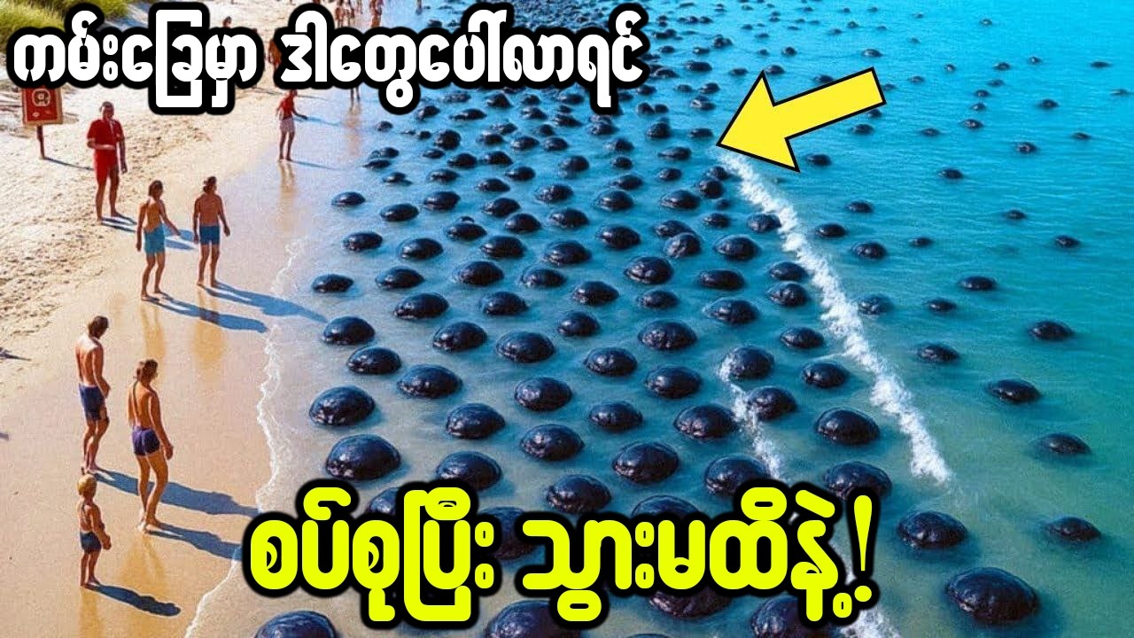 😱ကမ်း‌ခြေစောင့်၀န်ထမ်းတွေ ဖော်ထုတ်လိုက်တဲ့ ပင်လယ်ထဲက အမည်းရောင်အရာများ?😱