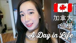 Nan Nan Back Undefined Skip Navigation Search Search Sign In Undefined Chen Lily Chen Lily 448k Subscribers Subscribe Facebook Home Videos Playlists Community Channels About Search Info Shopping Tap To Unmute If Playback Doesn T Begin