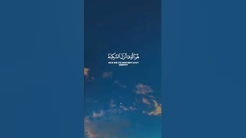 هو الذي أنزل السكينة في قلوب المؤمنين ليزدادوا إيمانا || القارئ: عبد الرحمن مسعد
