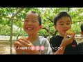 ★福岡県産すもものご紹介★