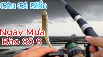 1 Ngày Câu Cá Bãi Biển Lagi  || Mưa Gió Mây Đen Kéo Đến Bất Ngờ Do Ảnh Hưởng Bão Số 9