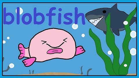 Blobfish Song - Fun Song For Kids |  Smiley Rhymes