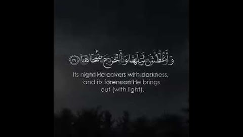 أَنْتُمْ أَشَدُّ خَلْقًا أَمِ السَّمَاءُ بَنَاهَا | سورة النازعات | رعد الكردي