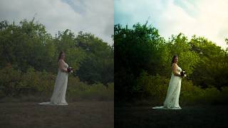 Boost Your Photos with Contrast (Easy Tips)