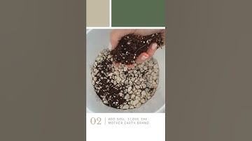 How to Use Self-Watering Pots