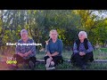 Βίλατζ Λιμπερταδόρες | Τρίτη 17/2, 00:10 (trailer)