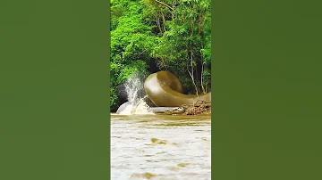 Why You Should Run Away From An Anaconda When You See One Snake River Anaconda Fear Snakevideo 