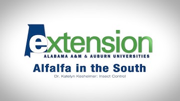 Dr. Katelyn Kesheimer: Insect Control