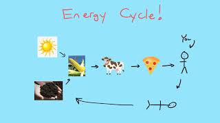 Chemistry Fundamentals - U03.01 - Energy