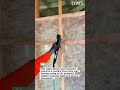 Fast Insulation Installation Using Pneumatic Stapler – Efficient Wall Insulation Method!