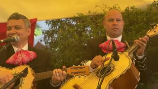 TODA UNA VIDA/SI TU ME DICES VEN  (COVER) MARIACHIS EN VALENCIA/ MARIACHI SOL DEL MEDITERRANEO