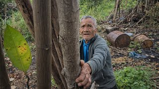 Crazy 87-Year-Old Grandpa Quits The City — But Garden Renovation Becomes His Hardest Challenge screenshot 5