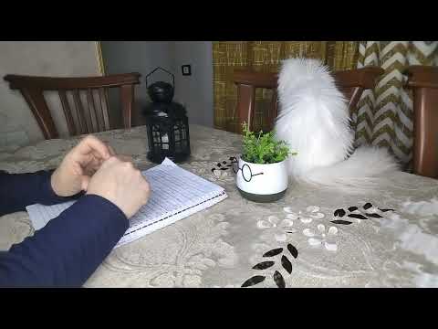 اخطاء بتدمر ميزانيتك اتصرفي بذكاء وابعدي عنها