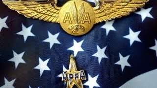 AA Flight Attendant Pins