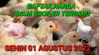 Harga Ayam Broiler Hari Ini Kamis 04 Agustus 2022. 