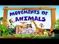 Movements of animals  science  animals  kids  kindergarten  teacher beth class tv