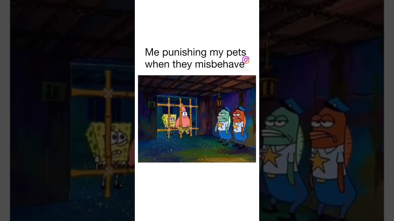 Does anyone else have a hard time disciplining their dogs?