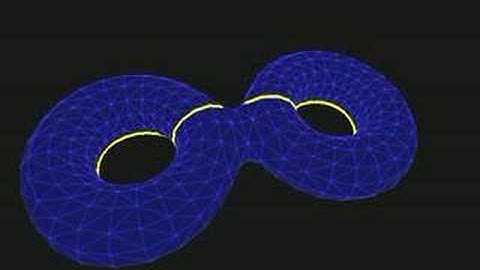 Greedy Computation of a Homotopy Basis for a Genus 2 Surface