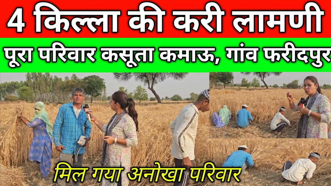 मिल गया अनोखा परिवार, 4 किल्ला की करी लामणी, पूरा परिवार कसूता कमाऊ, गांव फरीदपुर हिसार