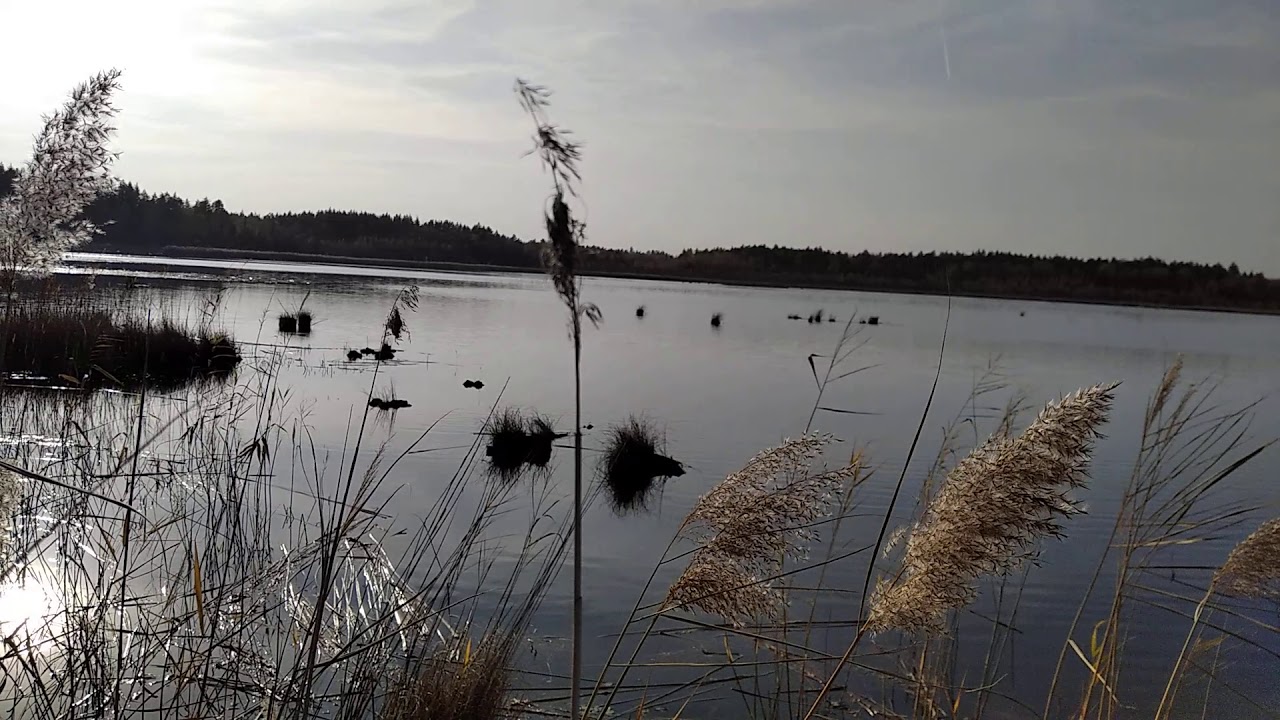 Озера в ульяновске