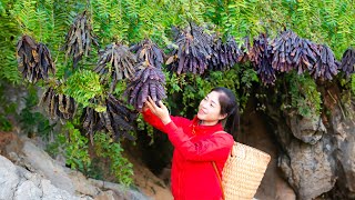 Harvest Gleditsia Fruit Goes To Market Sell | Gardening And Cooking | Lý Song Ca