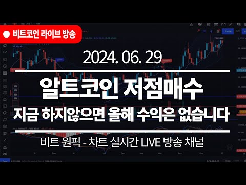 비트코인 시세 및 전망, 알트코인 현물ETF 이제 알트코인 불장 초입에 진입했습니다