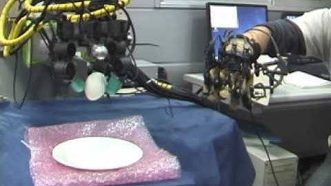 CyberGrasp RTT560ms Grasping Egg