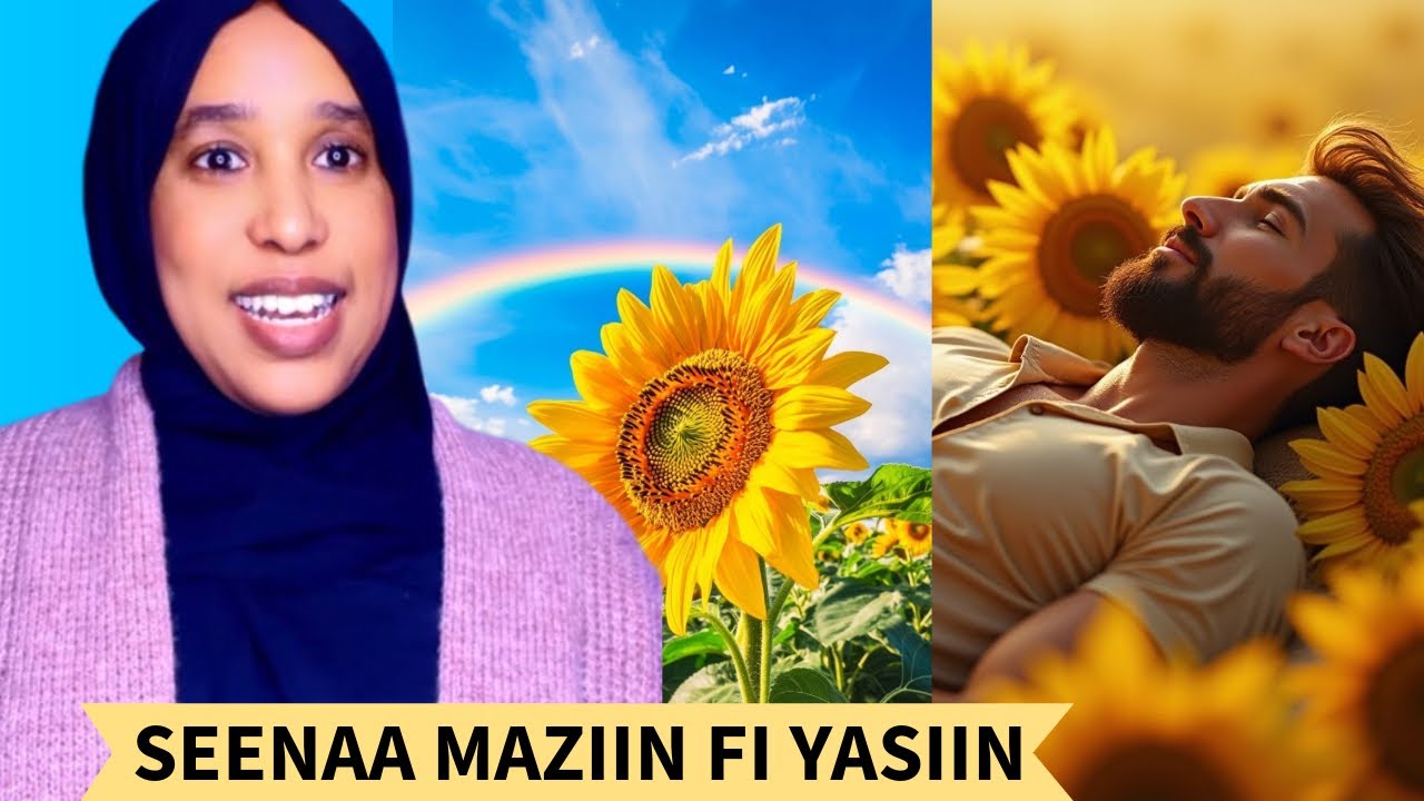 Ilillii Holland 🇳🇱 Seenaa Maziin fi Yasiin 